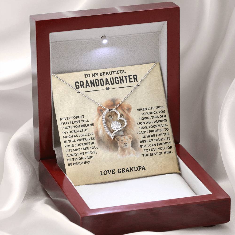 Granddaughter Gift- From Grandpa- Old Lion