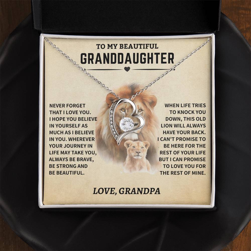 Granddaughter Gift- From Grandpa- Old Lion